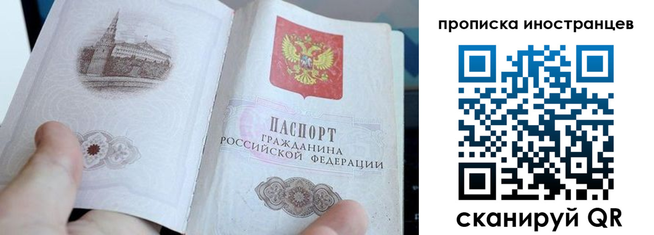 прописка поиск в Жирновске